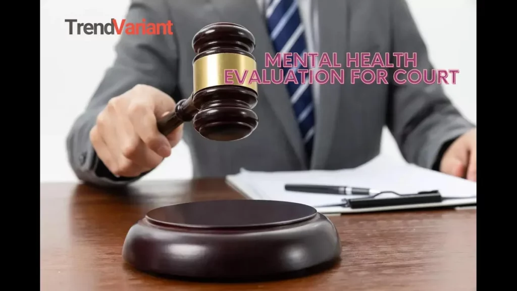 Mental Health Evaluation For Court